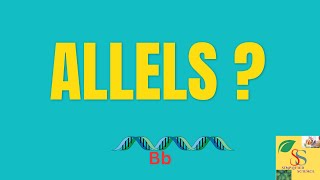 What is an Allele Alleles in genetics  in HINDI [upl. by Yelyab32]