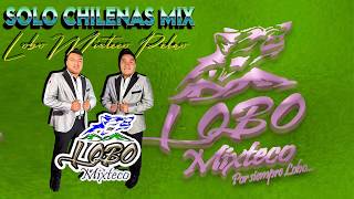 Lobo Mixteco Sus Mejores Canciones 🎶 Chilena Mixteca  Tocando Todos Sus Exitos [upl. by Solracesoj]