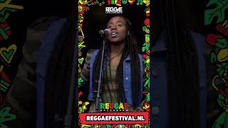 Protoge Live at Reggae Rotterdam Festival 2022 part 02 [upl. by Ajani]