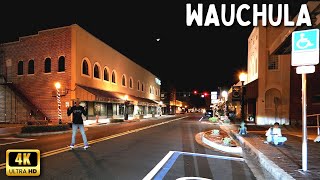 Wauchula Florida Walking Tour At Night [upl. by Aretahs]