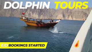 Dolphin Watching Khasab Musandam Oman Fjords Tour  Dhow Cruise Trips [upl. by Ellicott]