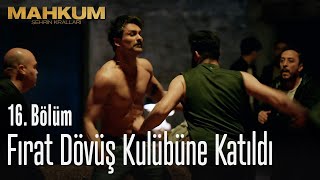 Fırat dövüş kulübüne katıldı  Mahkum 16 Bölüm [upl. by Adnoloy]