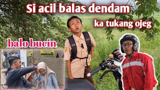 SI ACIL BALAS DENDAM KA TUKANG OJEK BALO BUCIN [upl. by Kohn]