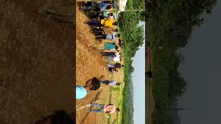 village maharashtra kolhapur cricket TECHGURU BAJI is live [upl. by Ashla204]