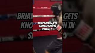 MUST SEE 👀BRIAN NORMAN GETS KNOCKED DOWN IN SPARRING boxing shorts [upl. by Atteuqram]