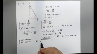 Trigonometria  30E4  Cap15 Es9899100 Triangoli rettangoli e area  Matematicablu20 [upl. by Oramlub]