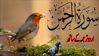 SURAH RAHMAN TARJUMA K SATH  BY QARI Al SHAIKH MUHAMMAD  EP 00210  QURAN TILAWAT BEAUTIFUL VOICE [upl. by Giraud]