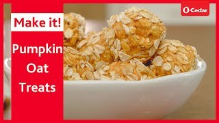 Pumpkin Oat Balls Pet Treats [upl. by Aviv]