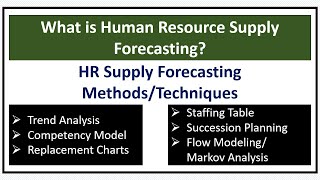 What is Human ResourceHR Supply Forecasting HR Supply Forecasting TechniquesMethods [upl. by Zalucki278]