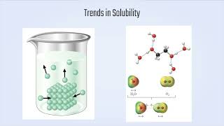 Capillarity  Chemistry 1A [upl. by Nirda]