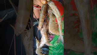 ଚିଙ୍ଗୁଡ଼ି Fry 👌😋🐟 shortsfeed minivlog [upl. by Nnagem625]