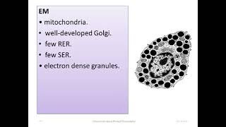 Revision Connective tissue histology [upl. by Felten]