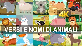 Impara i versi ed i nomi dei 40 animali in italiano risoluzione 4K [upl. by Liamsi]