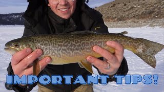 How to Fish Panguitch Lake Ice Fishing [upl. by Eenattirb910]