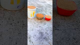 Rig Rig Rog Very Satisfying Sand Cutting Relaxing Drop ASMR satisfying shorts youtubeshorts [upl. by Boniface505]