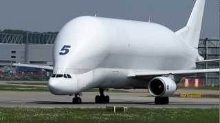 Airbus Beluga landing and takeoff at Finkenwerder EDHI [upl. by Ynafetse]