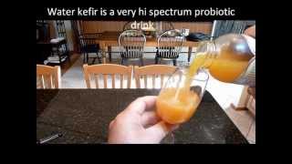 Water Kefir sparkling mango [upl. by Betty]