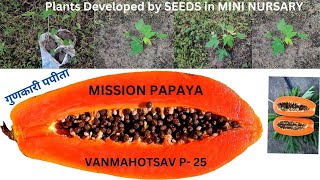 mission Papayawide range of health benefits of Papaya गुणकारी पपीता पपीता एक फायदे अनेक पर्यावरण [upl. by Ferdinand131]