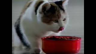 Kal Kan Whiskas Cat Food Commercial 1990 [upl. by Seligman]