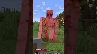 1v1ing an Iron Golem [upl. by Anisah]