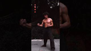 JINGWU KUNGFU Three moves Two Styles WORKOUTS kungfu martialarts fitness [upl. by Catlee928]