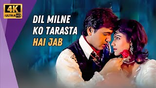 Dil Milne Ko Tarasta Hai  Ekka Raja Rani 1994  Govinda Romantic Song  Ayesha Jhulka  90s Hits [upl. by So304]