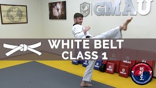 Taekwondo Follow Along Class  White Belt  Class 1 [upl. by Erl445]