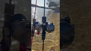 Πάμε πόλεμο🫡🫡 fishing kayakfisherman fish kayakfishing [upl. by Asial700]