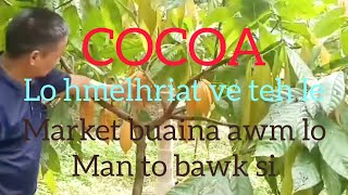 Cocoa hi kan hlawhtlin pui thei ngei ang [upl. by Oirrad98]