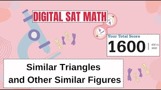 15003007 Similar Triangles and Similar Figures  Sample Question [upl. by Olram]