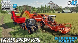 Potato Harvesting Culinary Creation and Profitable Sales  Silverrun Forest  FS 22  Timelapse47 [upl. by Ninos]