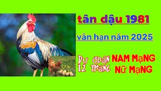 Dự đoán vận hạn tuổi tân dậu 1981 năm 2025 Cho nam mạng và nữ mạng tốt xấu trong 12 tháng [upl. by Atinnek]