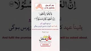 apne waade ko pura karke rahenge status quotes islamicquotes islamic post status myquote [upl. by Anauqal]