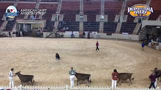 AADS 2024 Day 2 Equine Arena Part 1 [upl. by Gaspar238]