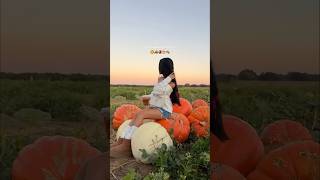 cutest pumpkin patch 🥹🎃💌 pumpkinpatch fall pinterestgirl [upl. by Chadwick]