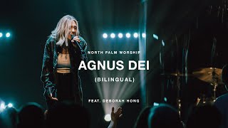 quotAgnus DeiBilingualquot by Deborah Hong and Michael W Smith  North Palm Worship [upl. by Idas]