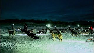 Dog Sledding  Kvaløya Tromsø [upl. by Bonita]