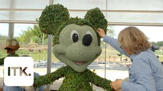 Heres how Disney turns plants into your favorite characters [upl. by Cheryl302]