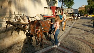 جولة في أدرنة تركيا، Edirne City Tour [upl. by Akined]