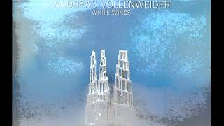 cartridge VAN DEN HUL Andreas Vollenweider  White Winds  FULL ALBUM [upl. by Lear]