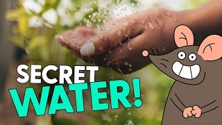 The Secret Life of Water [upl. by February]