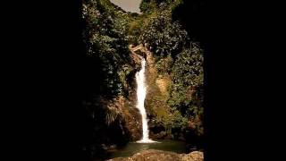 Salto de Garzas del Río Guayanés en Peñuelas Puerto Rico [upl. by Fleta625]