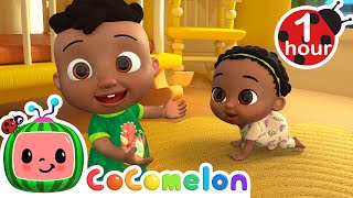 Itsy Bitsy Spider Baby Version  MORE CoComelon  Its Cody Time  CoComelon Nursery Rhymes [upl. by Pelaga392]