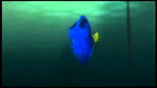 Finding Dory Official Trailer 2013 [upl. by Billmyre655]