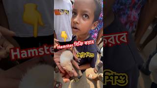 Hamster বিক্রি করতে হাটে এলো mirpur1pakhirhat anondopets shorts hamsters [upl. by Youngman839]