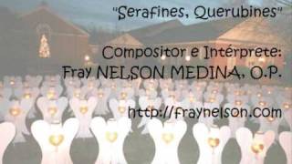 Serafines Querubines  Fray Nelson Medina [upl. by Maurene]