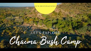 Exploring Chacma Bush Camp [upl. by Steve995]