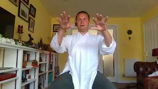 NeuroFlow Tai Chi  Session 4 [upl. by Artied]