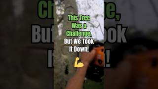 Took Down a Challenging Tree [upl. by Enelad]