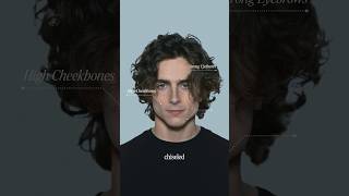 What Makes Timothee Chalamet So Attractive [upl. by Michelina]